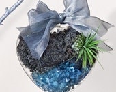 TWILIGHT HEART -  party favor, hostess gifts, tabletop decorative accent, holiday ornament, air plant, moss, sand terrarium