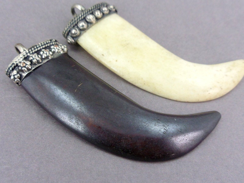 buffalo tusk