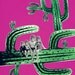 Cactus Family. Print, 12x17in (30x42cm)