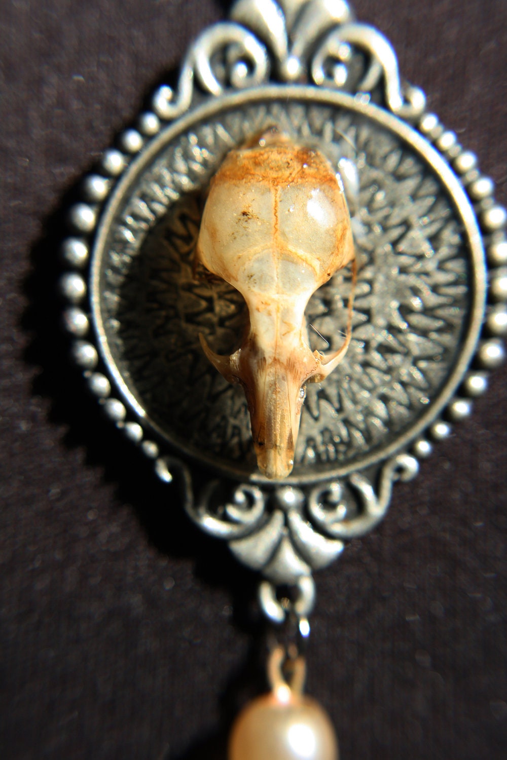 Real mouse skull cameo necklace