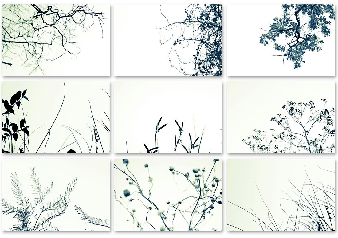 Nine 4x6 Framable Photo Cards Set, Black and White nature art prints, notecard for men, for woman