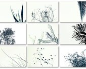 Nine Framable Photo Cards Set, Black and White nature 4x6 art prints, minimalist notecards
