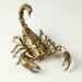 Golden Scorpion Fascinator