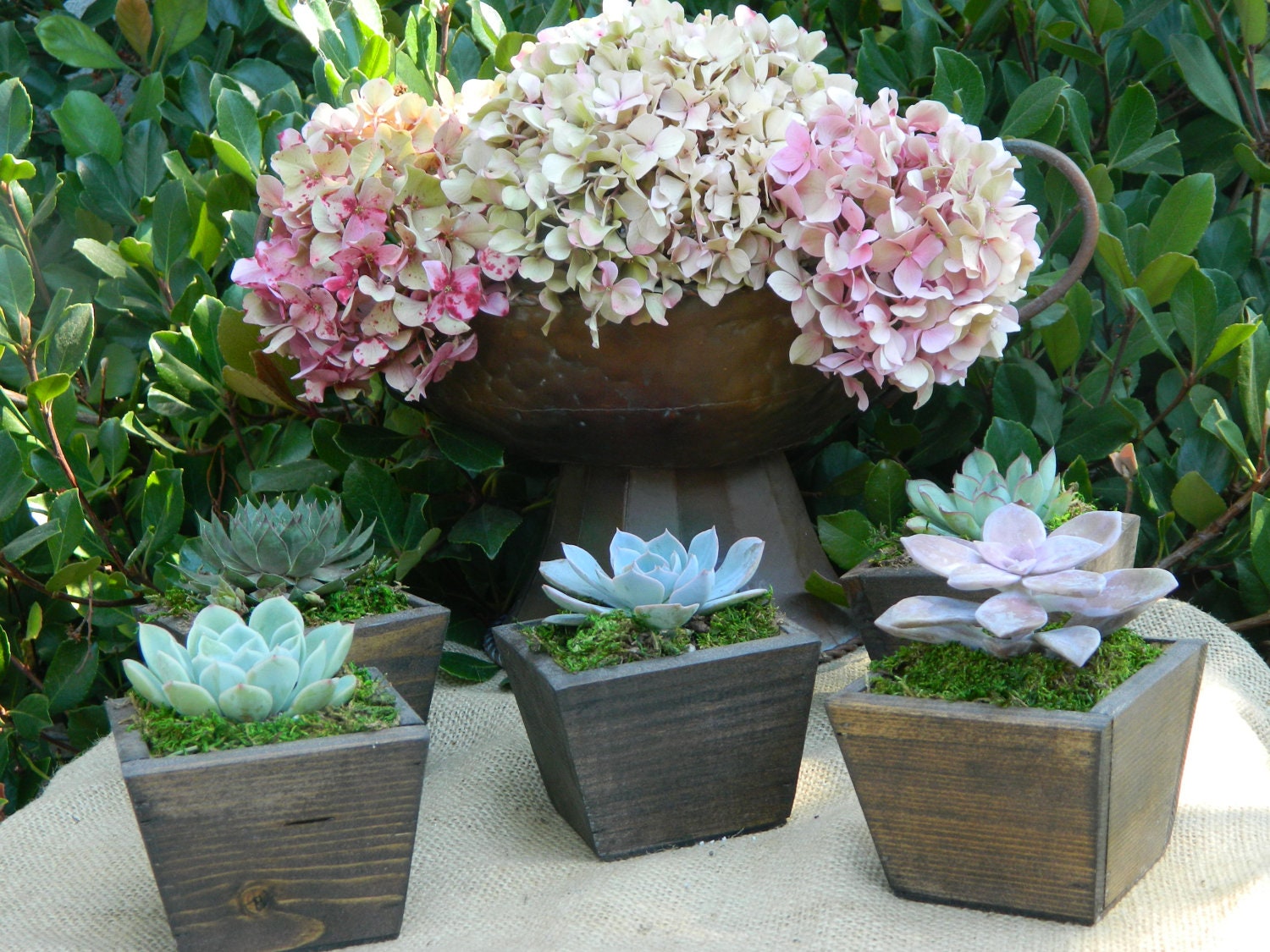 Succulent Wedding Favor, Succulent Bridal Shower Favor, Rustic Wedding Favor, Farmhouse Wedding, Barn Wedding, Vintage Wedding