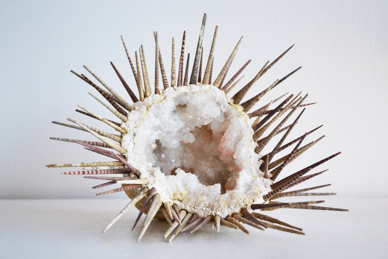 Geode Sea Urchin - LittleWorldDesign