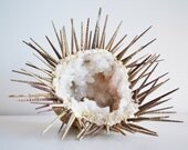 Geode Sea Urchin - LittleWorldDesign