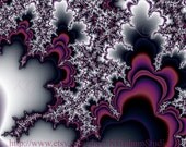 Purple Abstract Fractal Print Contemporary Modern Art Psychedelic 8x10 Digital Photographic Print by K Graham Purple Black White Geometry