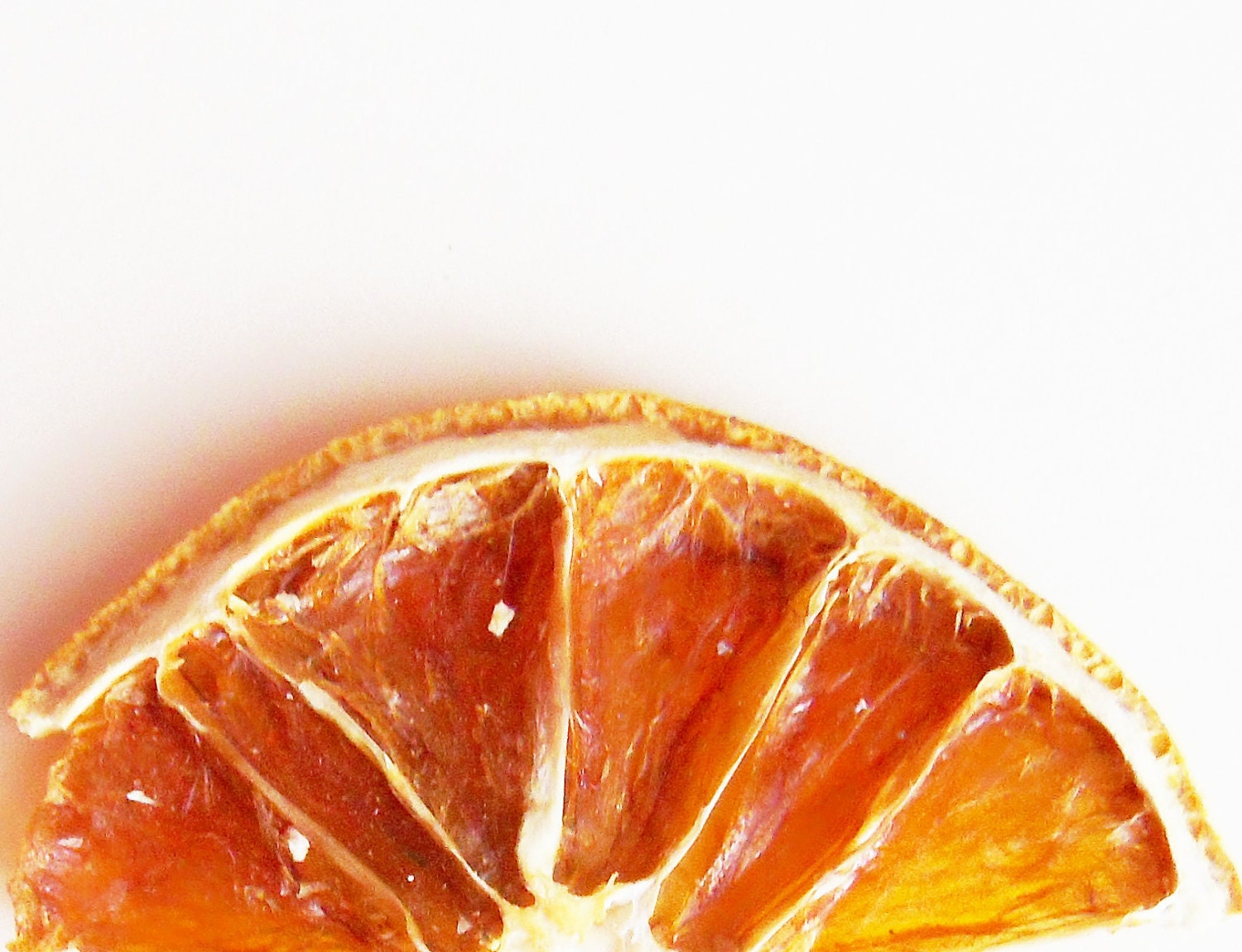REAL Dried FRUIT Ornament, 12 dried oranges. 12 dried Apples. Made to order. Fall decorations