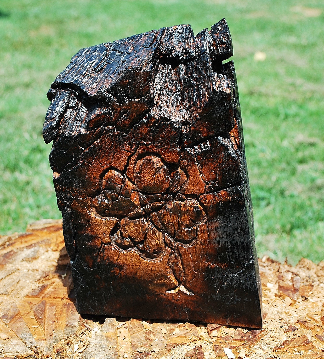 Hand carved celtic style shamrock in weeping willow burl