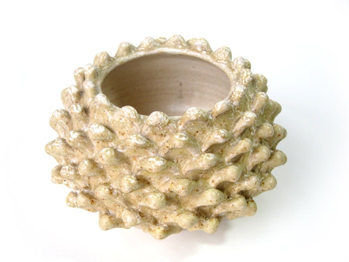 Stoneware Acorn Pot