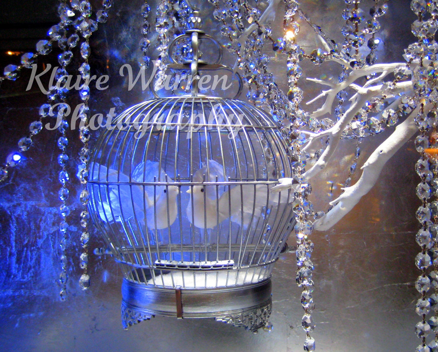 Love Birds, Las Vegas, Nevada Photography Print By Klaire Warren 8X10 Matted 11X14 Inspirational Artwork for the Home