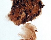 Organic Tinted Lip Balm in AMBER brown with golden shimmer Ananda Vegan Balms