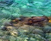 Caribbean Waters, St. Thomas, VI