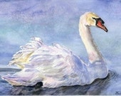 Original Watercolor Painting: elegant swan "Gliding" - BarbaraWalshArt