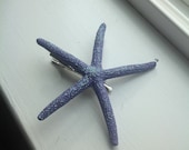 Dark Purple Pencil Starfish hair clip