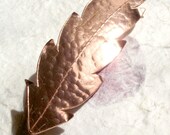 Vintage brass leaf pin from Scotland. In Eva's Collections