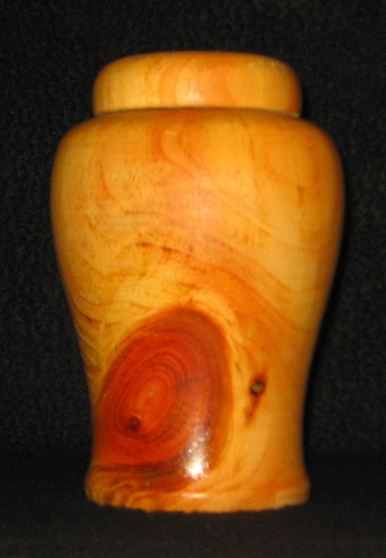 Austrian Pine Urn from Forest Park ,St Louis Mo. (2)