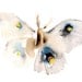 Moth - Fine Art Print from Original Watercolor Painting