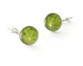 Nasturtium real leaf earrings - green handmade jewelry - Tropaeolum majus