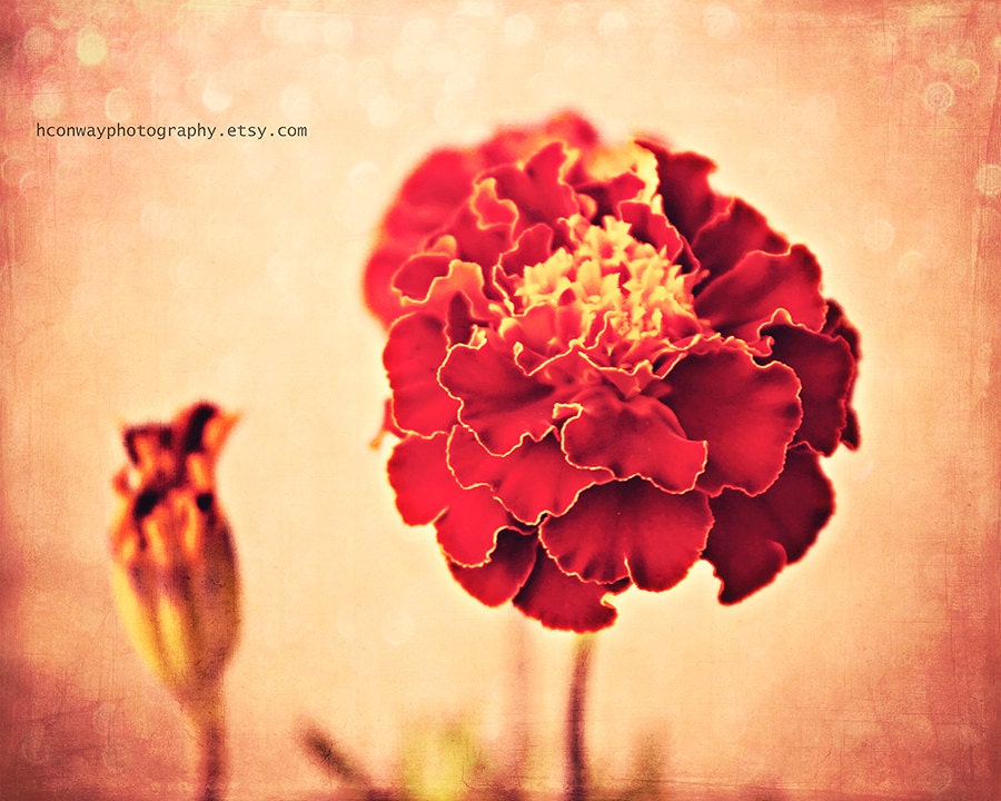 Peach Photo, Red Flower Soft Pastel Texture Dreamy Bokeh Photo Fine Art Photography Baby Nursery Wall Decor Cottage Chic