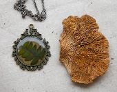 ON SALE pressed flower necklace resin necklace green fern. shabby chic circle filigree pendant. - StudioBotanica