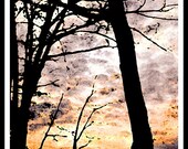 Silhouette of Fall Trees Mini Art Print 3x4 inches on Cotton Matte