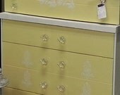 Hand Painted Chest of Drawers and Custom Cabinet