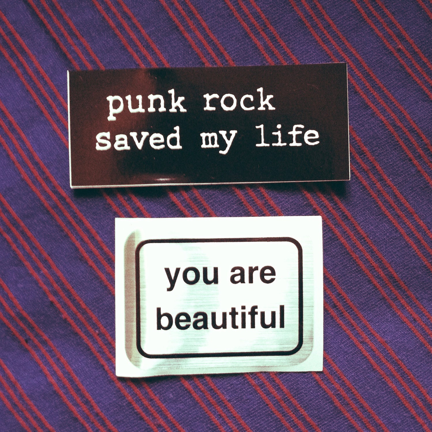 Sticker pack punk rock saved my life and you are beautiful two stickers