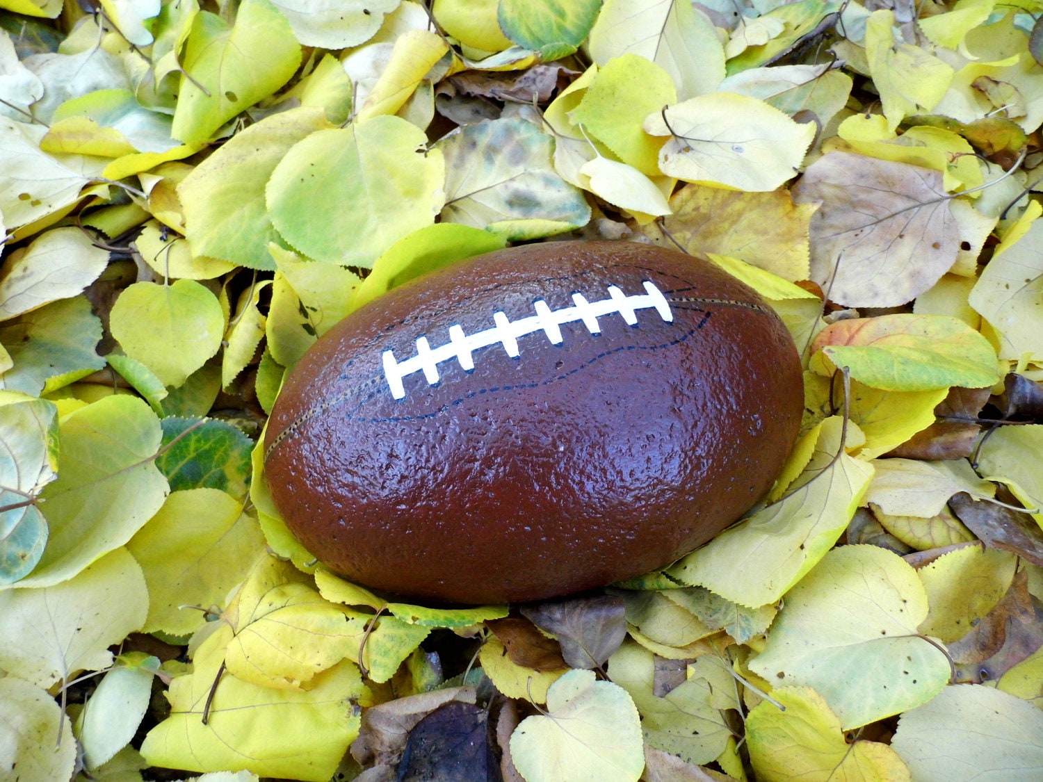 Football painted on the rock , unique gift