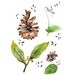 Forest Cone Violet Watercolor illustration Print Leaves Brown Green Purple Nature Woodland