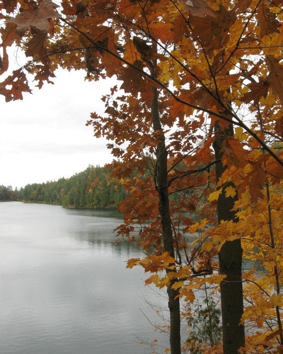 8x10 - Photograph - Fall Autumn Trees - Lake - Nature - Landscape - Gatineau Park Quebec