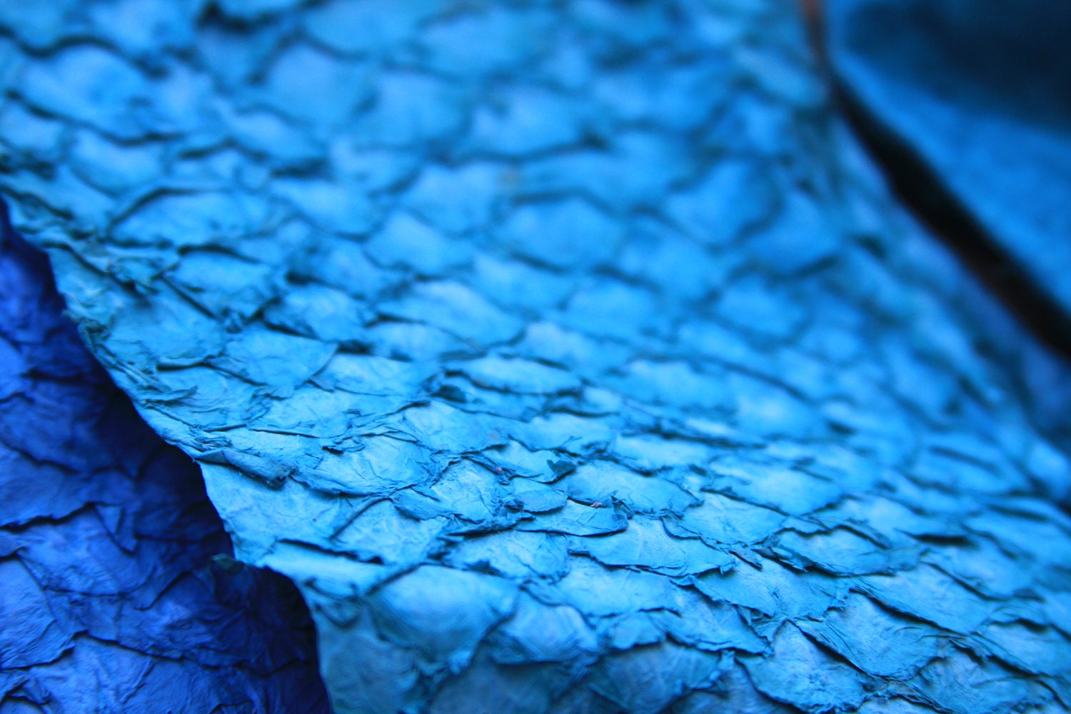 True Turquoise Blue Leather Fish Hide for Bookbinding, Journaling, Purses, Cuffs, Heels