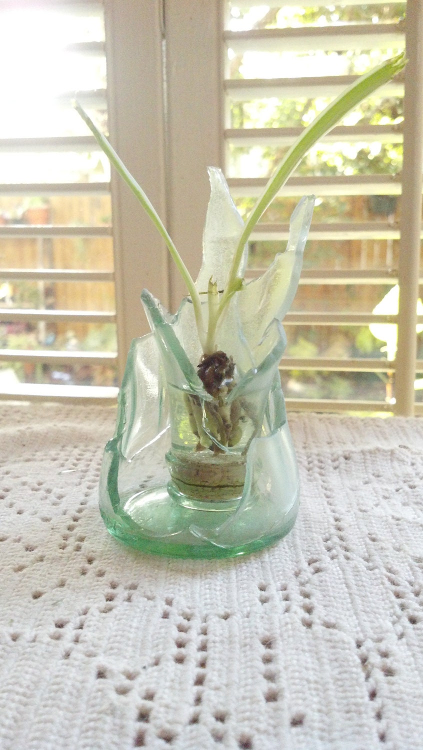 Tumbled Coca-Cola  Bottle Planter recycled glass with live spider plant / great for Wedding Centerpieces, home decor, office, dorm decor