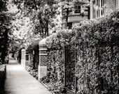Chicago Street Photography. Sidewalk and Fence Photograph.  Black and White.  Chicago Illinois.  Fine Art Photography 8x10 Print