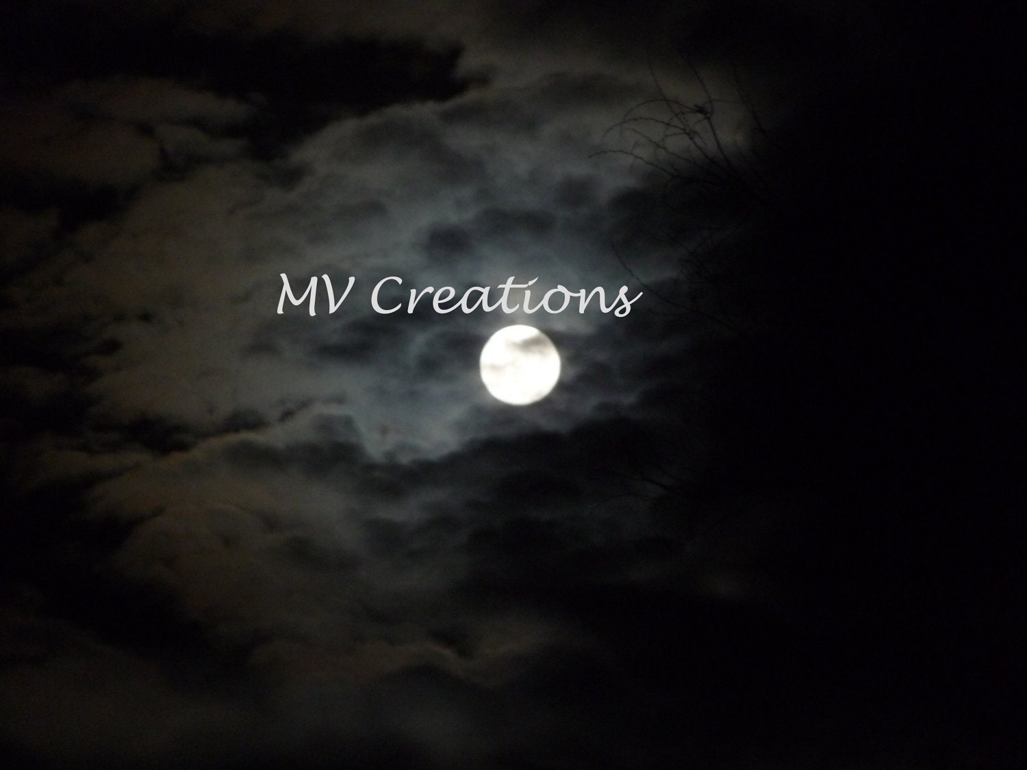 Fine Art Photography, MOONLIT NIGHT- Baker County Scenery Local Artist Original Photo Art Picture 8 x 10
