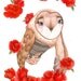 Limited Edition - print "Possibly smelling too many roses" on quality archival paper. 36 x 48cm - edition of 100.