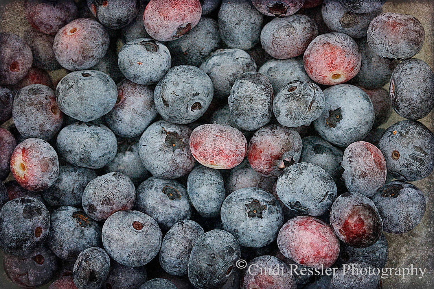 Blueberries 2, 5x7 Fine Art Photography, Food Photography - CindiRessler