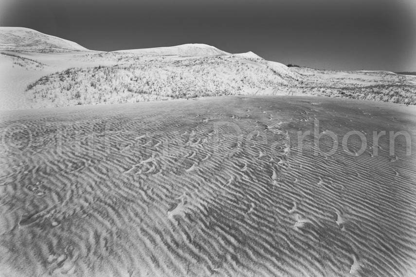 Kelso Sand Dunes - Mojave National Preserve - desert - California - 8x10 black and white matte print