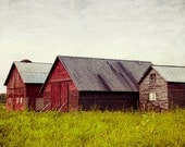Red Barns Rural Home Decor Farm 8x12 Photograph by Kerry