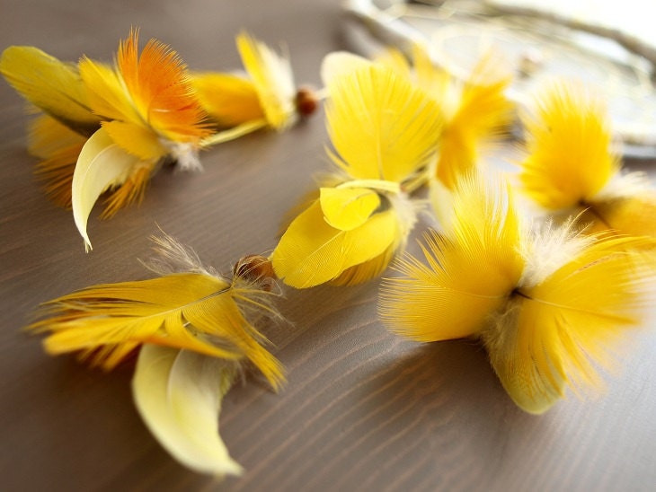 Dream Catcher - Tropical Sunshine - With Exotic Yellow Parrot Feathers, Drop Formed Gemstone and White Frame - Home Decor, Mobile