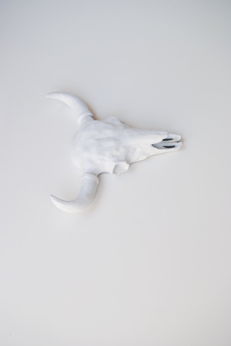 White Faux Taxidermy - The Ludmilla - White Resin Buffalo/Bison Skull Head- White Faux Taxidermy- Chic & Trendy