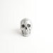The Nedwhin - Chrome Faux Human Head - Resin Skeleton - Sugar Skull Like