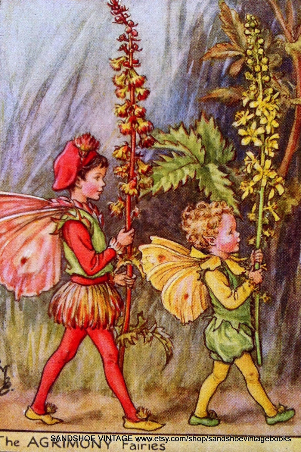 Pin Flower Fairies 1930s Yarrow Fairy Vintage Print Artist Cicely