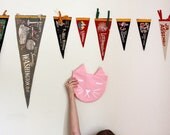 Pink with White Cat Carry-All Pouch