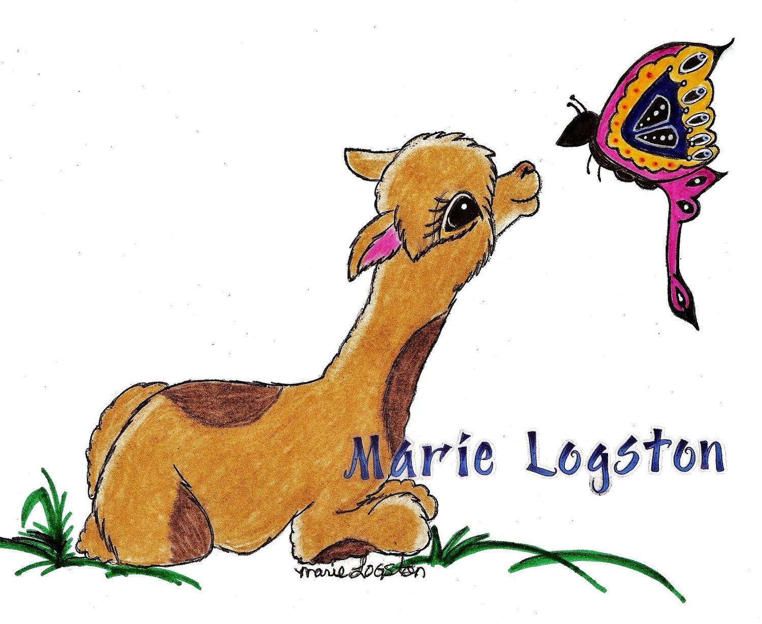 Alpaca Birthday Card