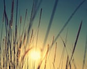 Beach sunrise - Go Surfing - summer, yellow, sunshine, happy days