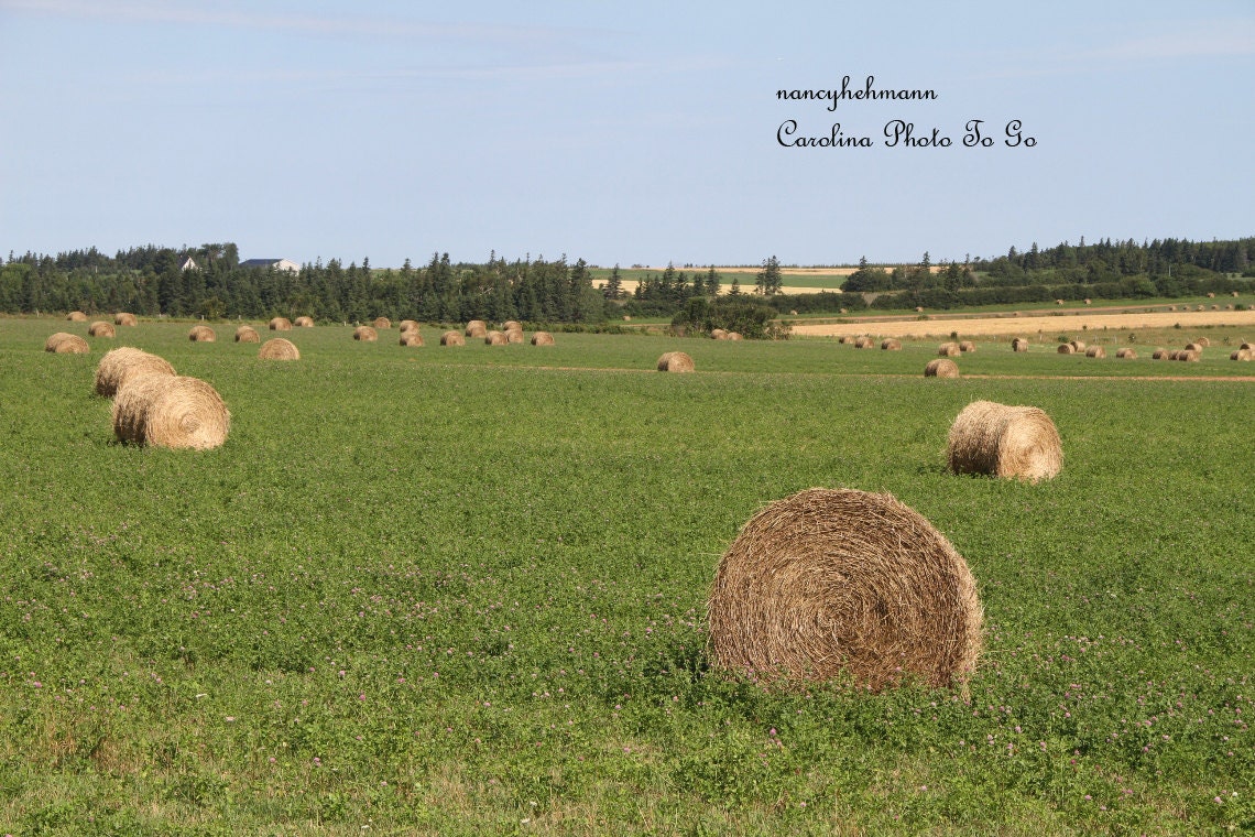 Art photography of an agricultural scene on Prince Edward Island, hay bales
