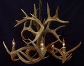 Legend Antler Designs "Fountain" Whitetail Deer  Antler Chandelier Light Lamp Fixture