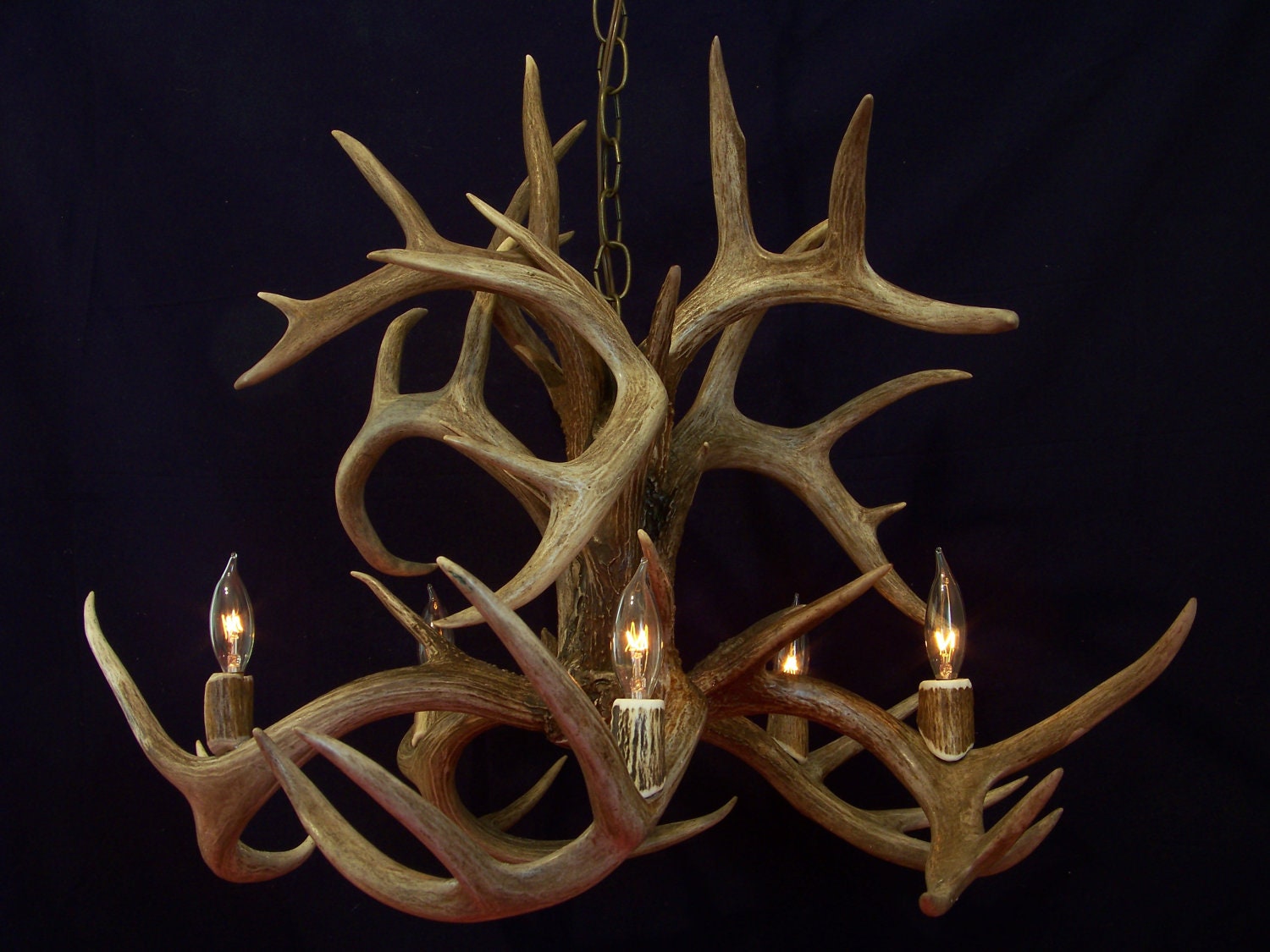 Legend Antler Designs "Fountain" Whitetail Deer Antler Chandelier Light Lamp Fixture