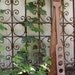 Handmade Walnut Mash Paddles